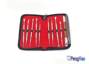 zahnmedizinisches Laborwachs des Edelstahl-10pcs/Set, das Werkzeug-Instrument-Ausrüstungen schnitzt