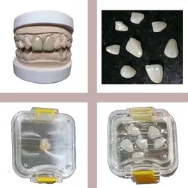 Transparentes zahnmedizinisches Labor bearbeitet elastisches Plastikzahnetui Membrance für Gebiss